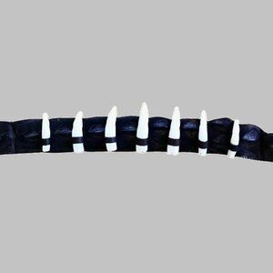 Genuine Australian Crocodile Leather Hat Band with 7 Crocodile Teeth